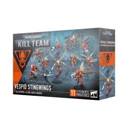 Kill Team T'au Empire...